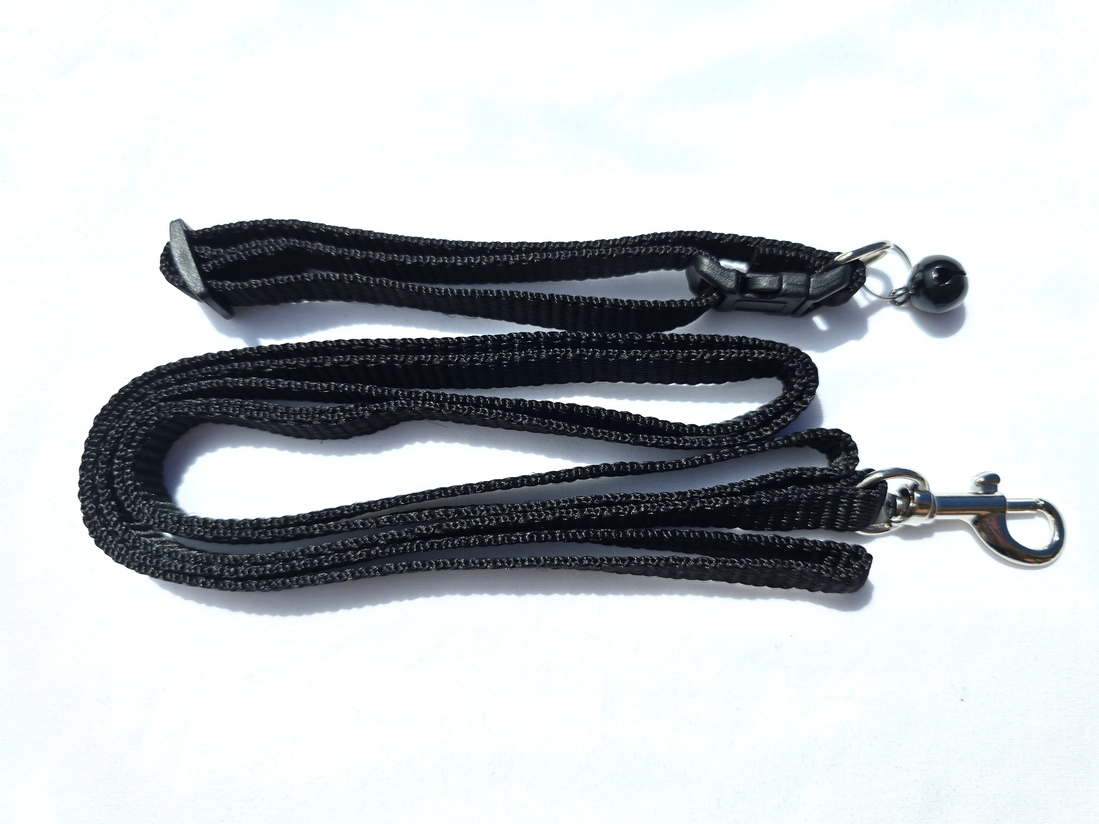 The Paw-fect Puppy Box