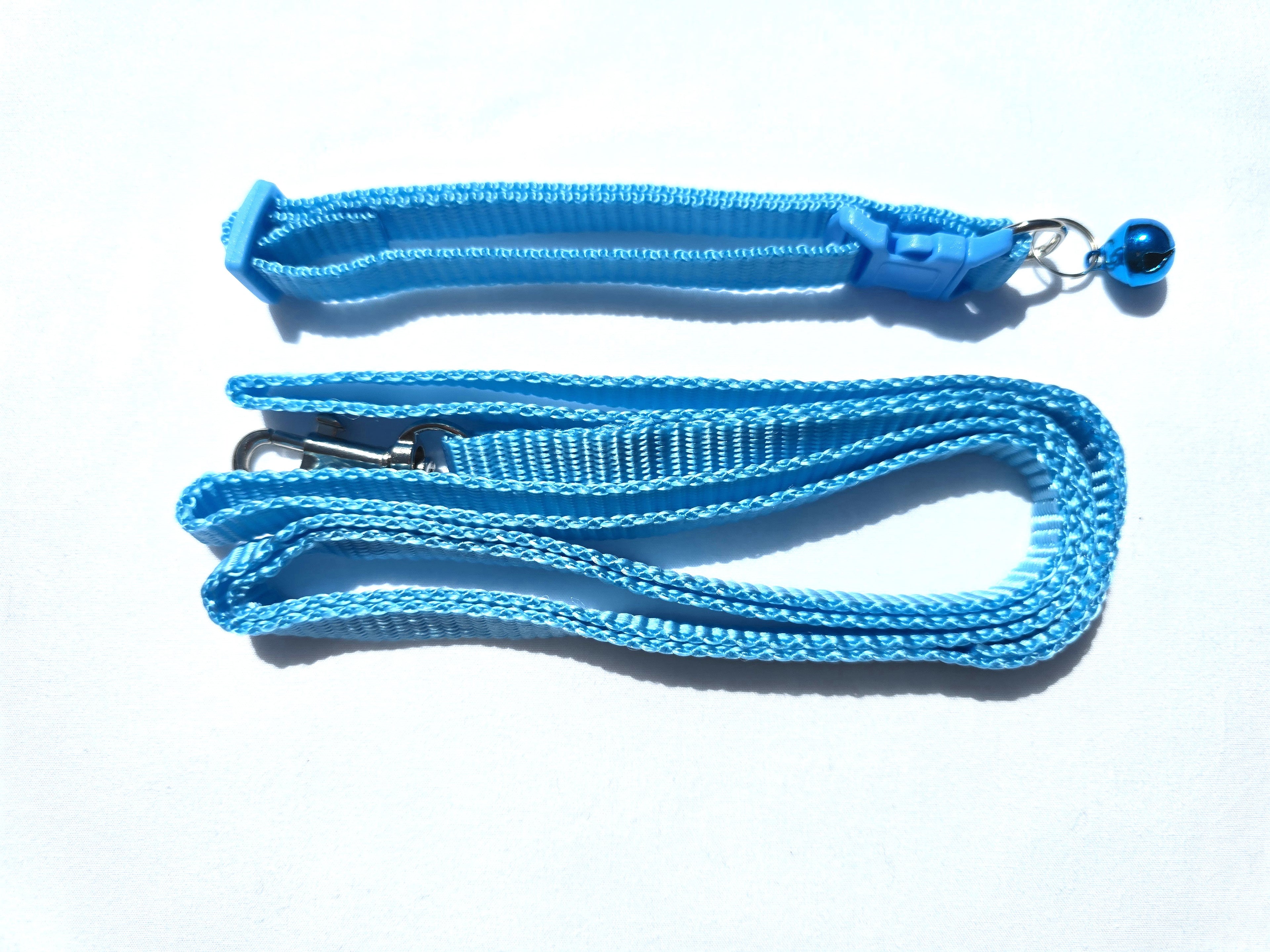 The Paw-fect Puppy Box