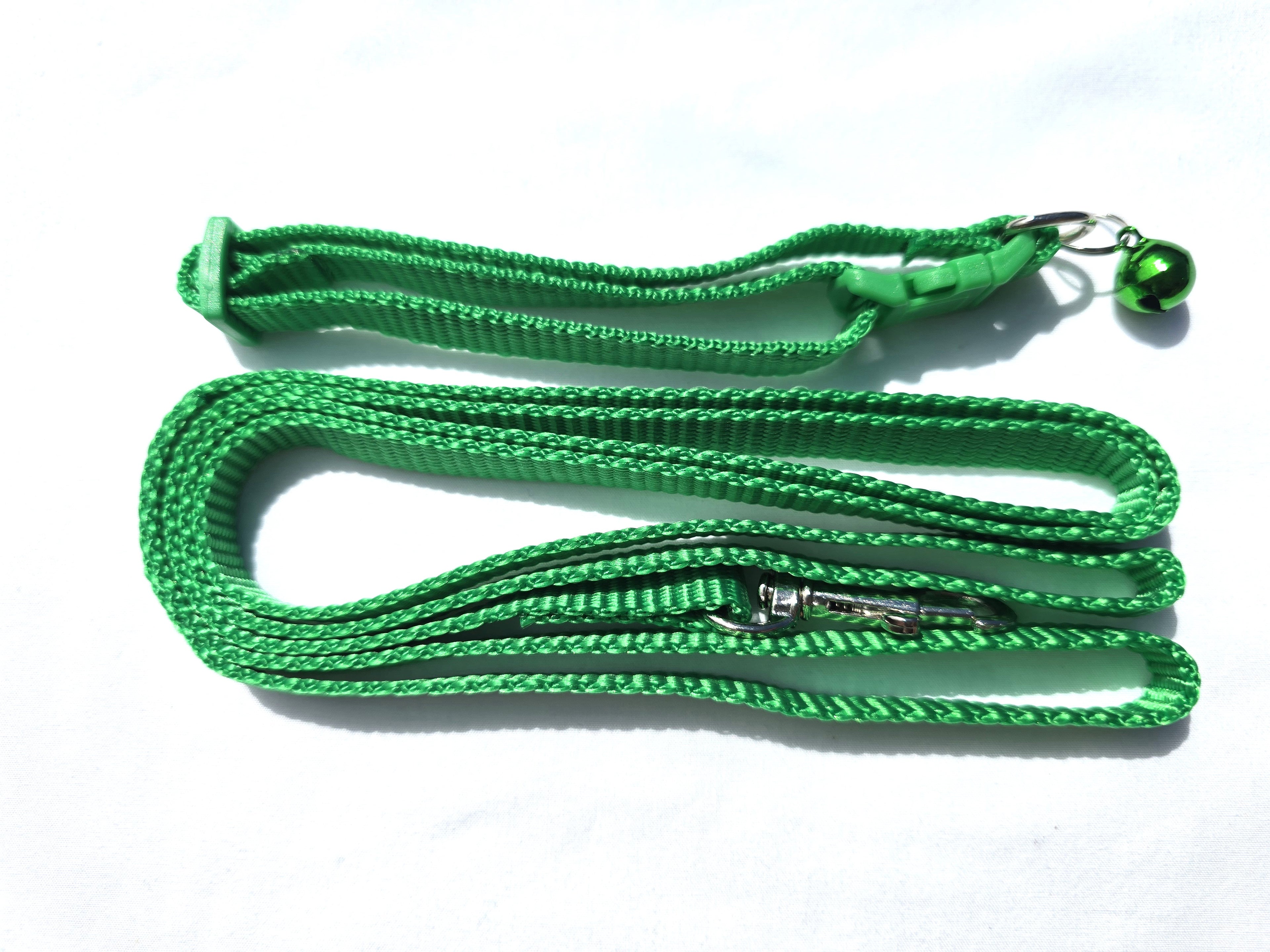 The Paw-fect Puppy Box