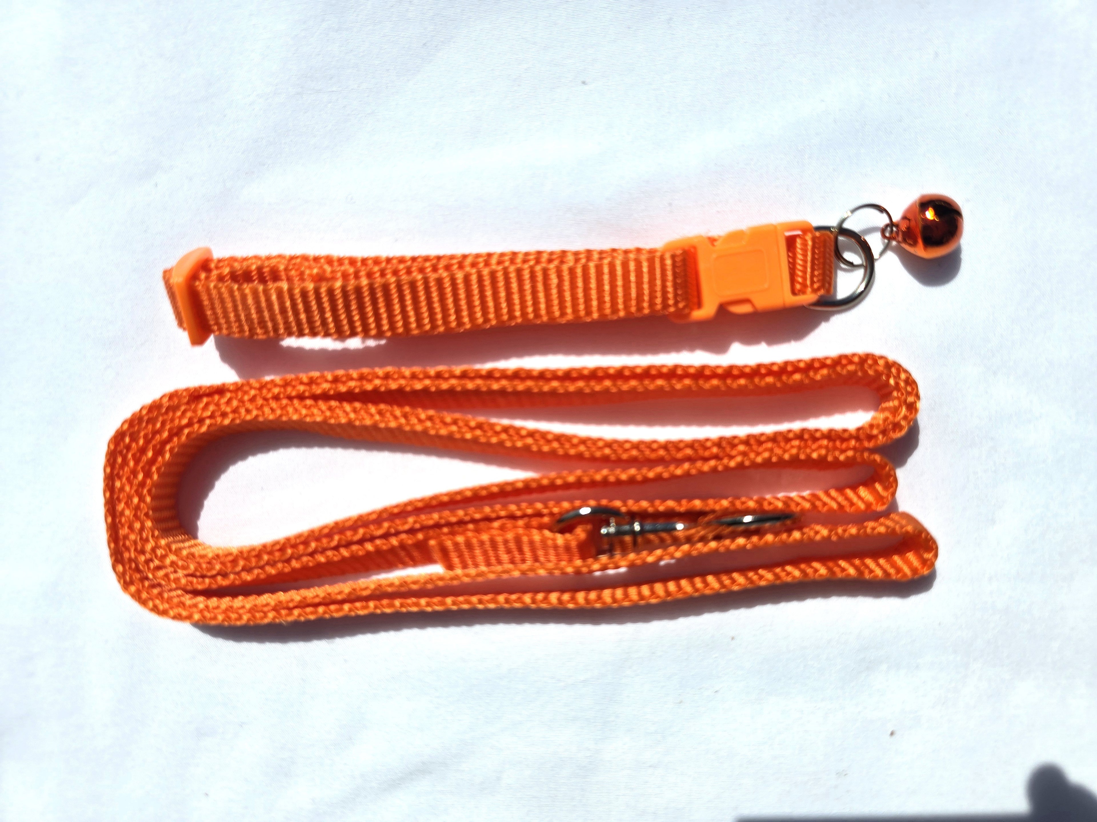 The Paw-fect Puppy Box