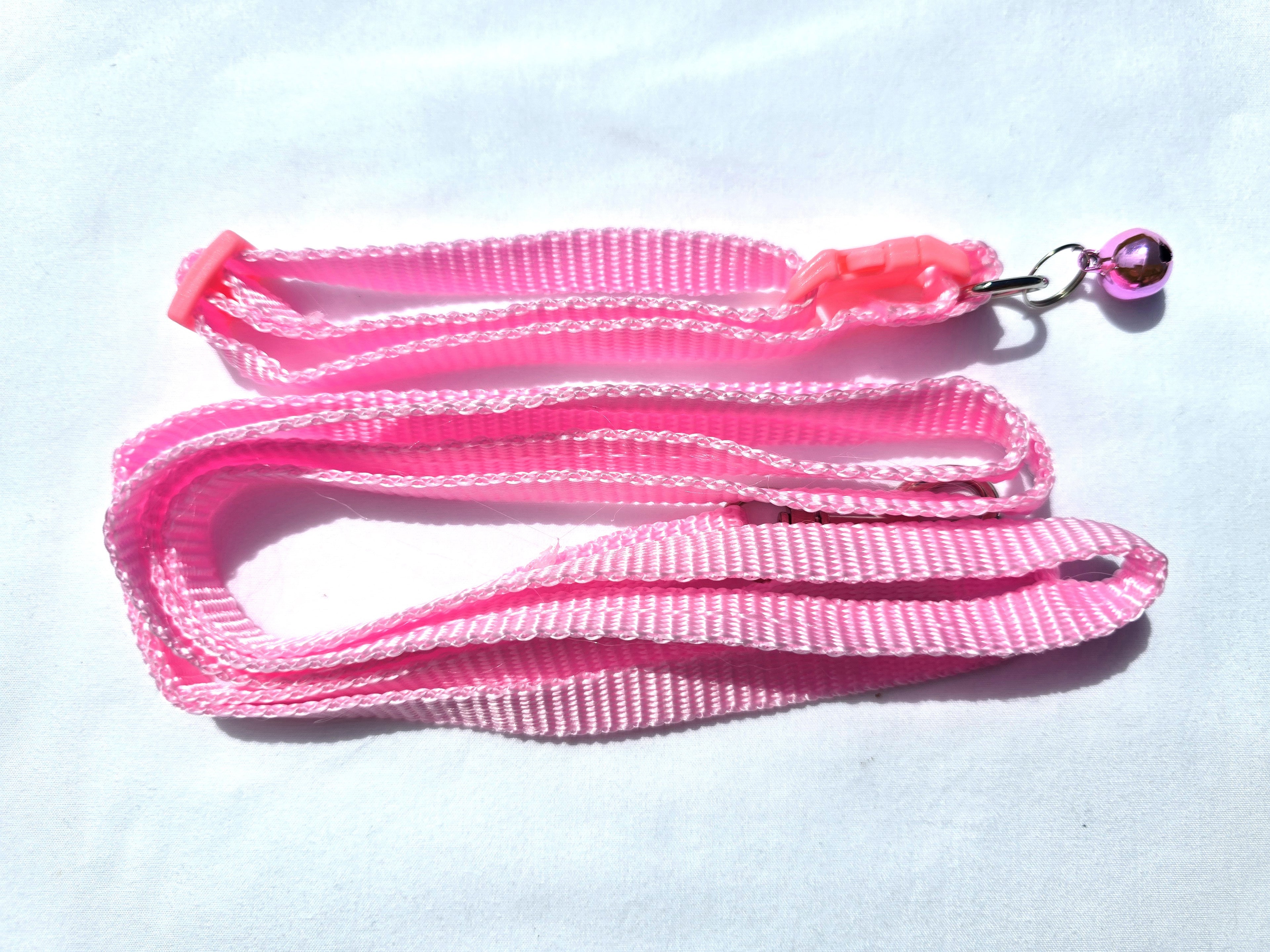 The Paw-fect Puppy Box