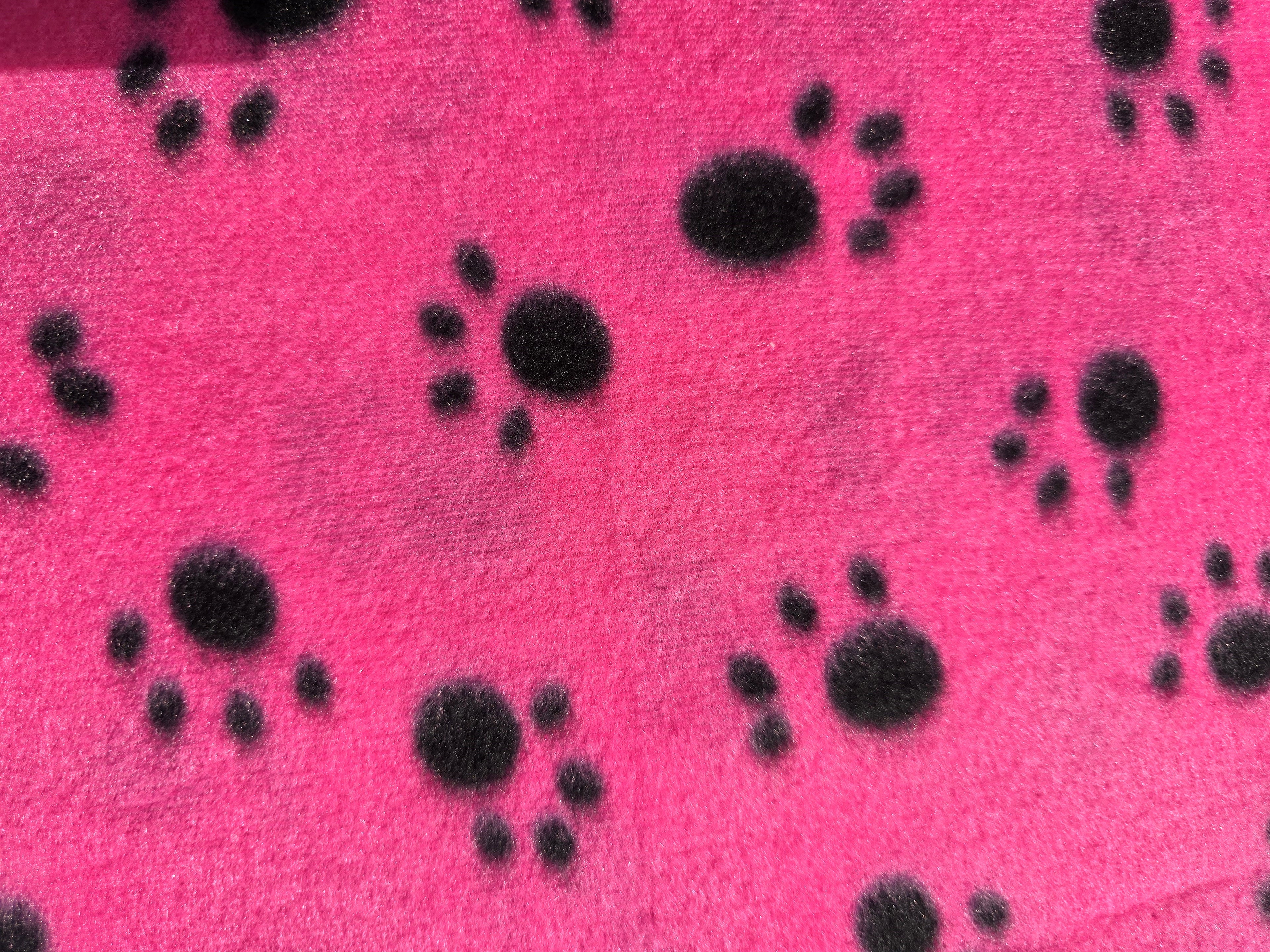 The Paw-fect Puppy Box