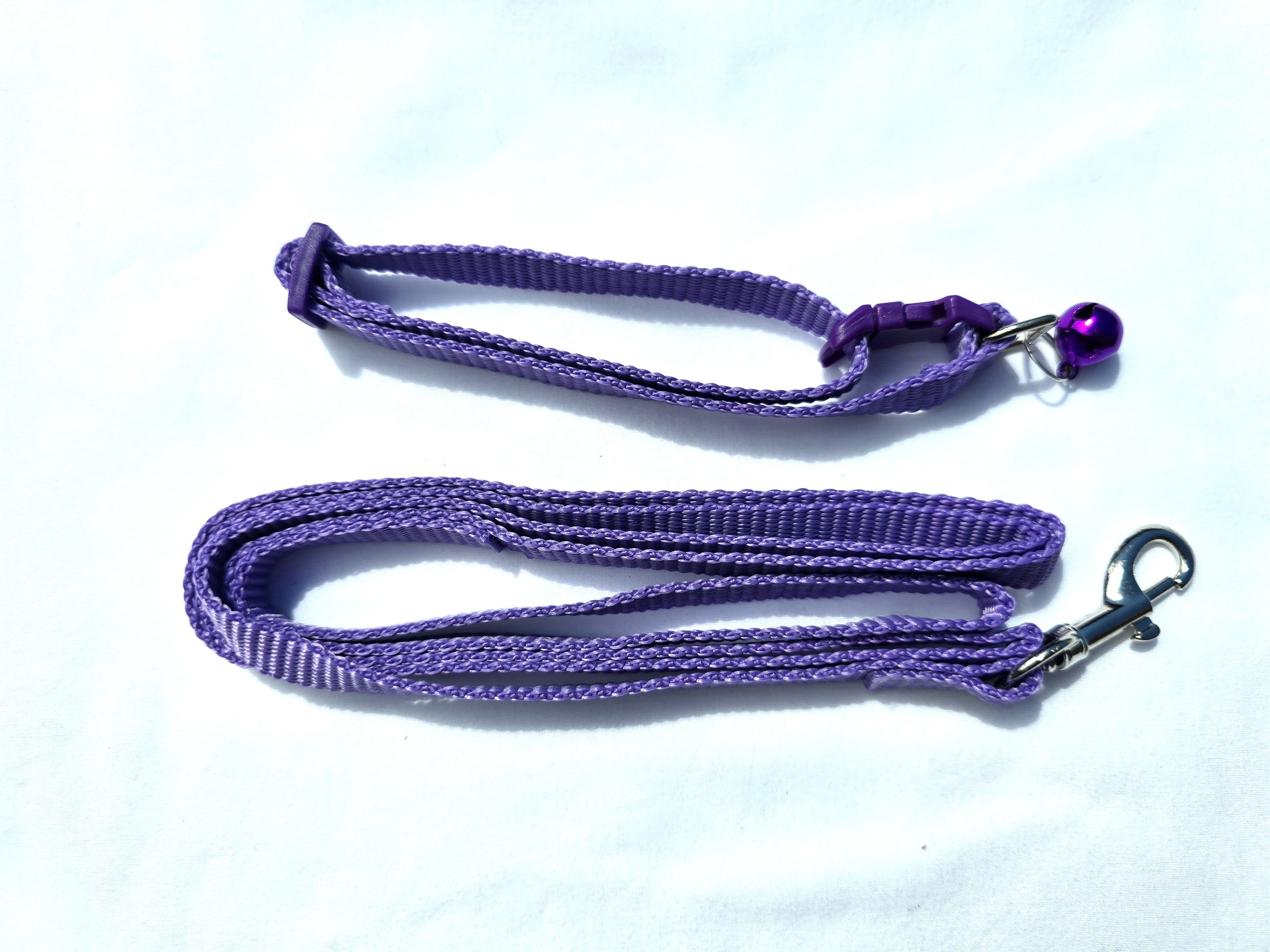 The Paw-fect Puppy Box