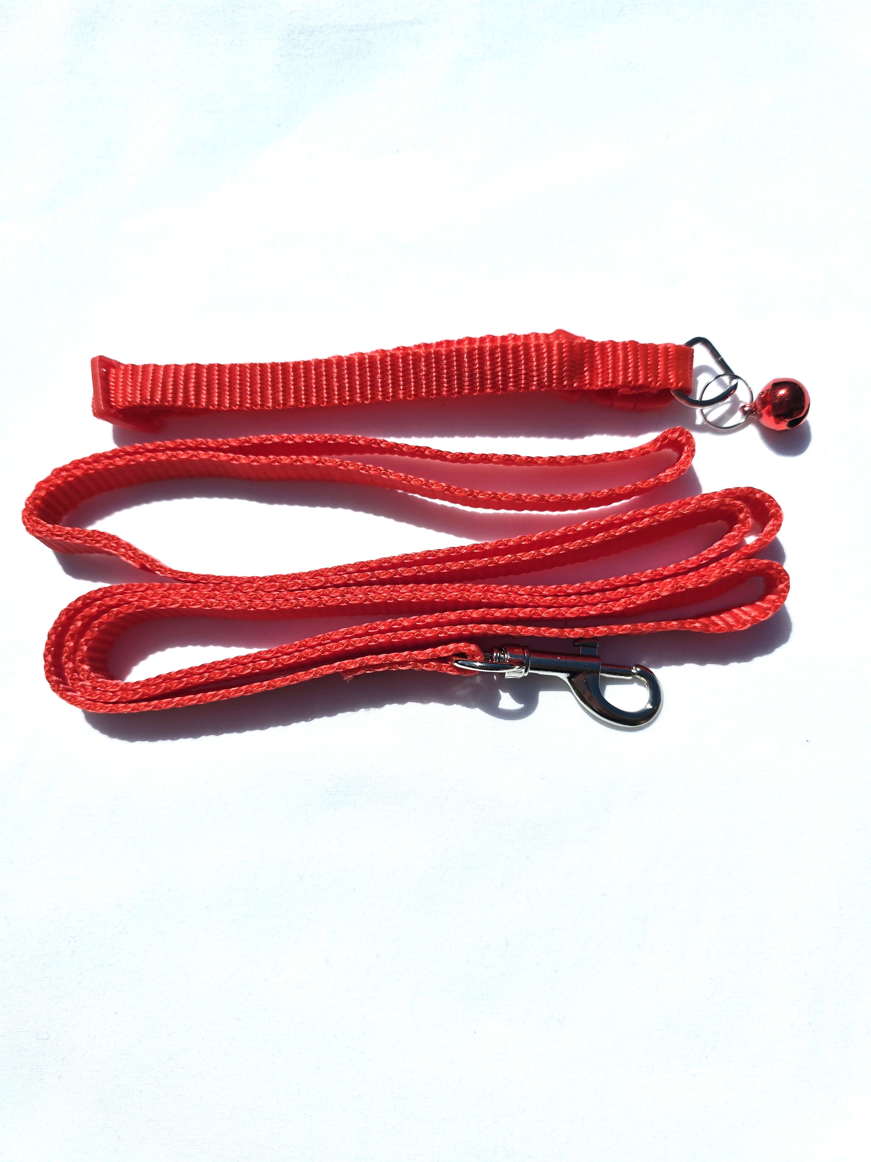 The Paw-fect Puppy Box