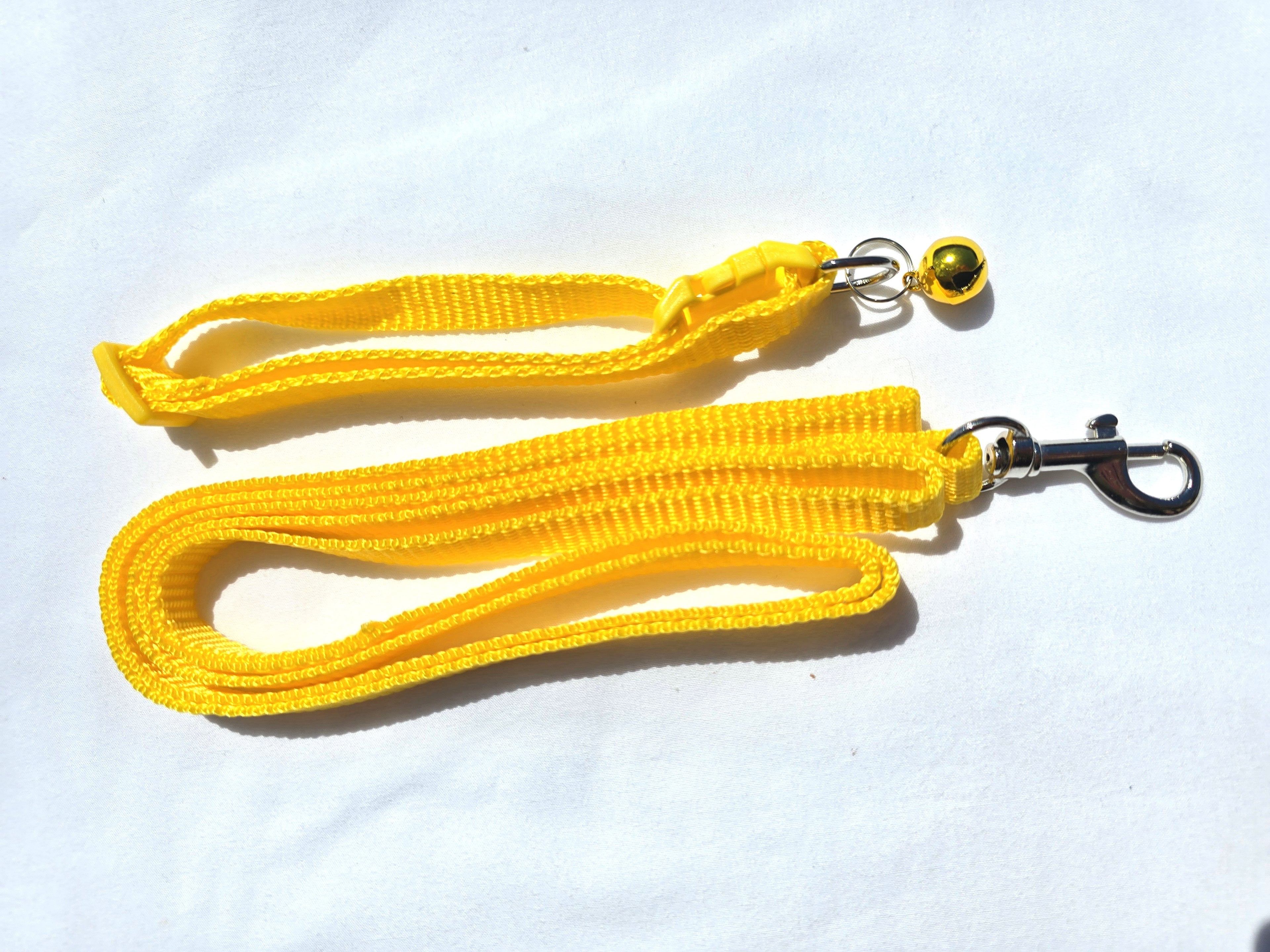 The Paw-fect Puppy Box